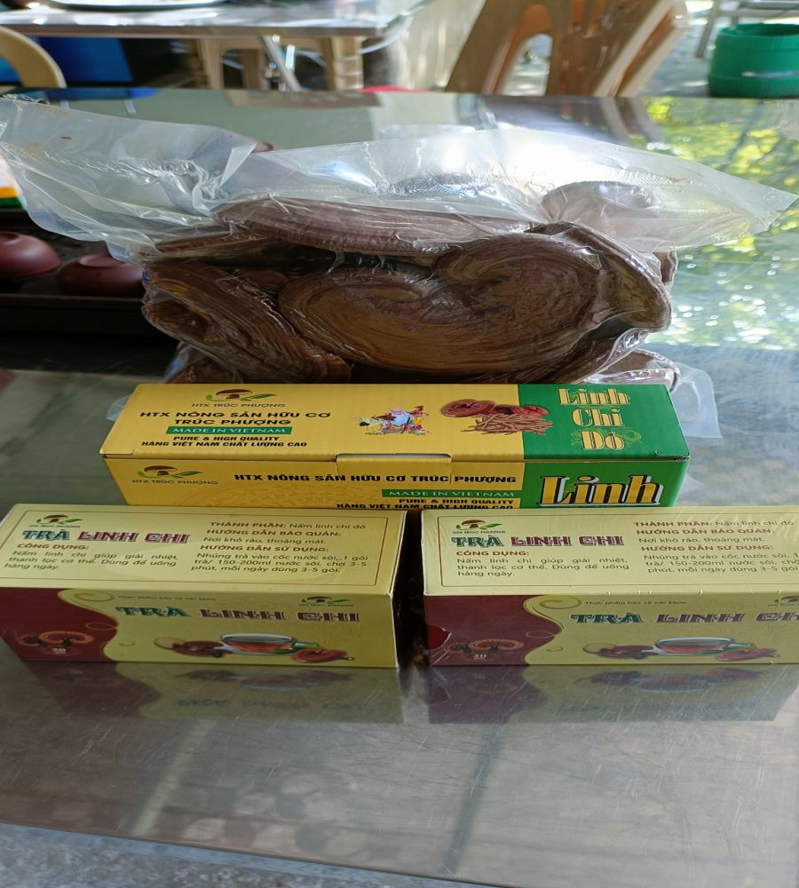 TRÀ LINH CHI (NẤM LINH CHI ĐỎ) 40g